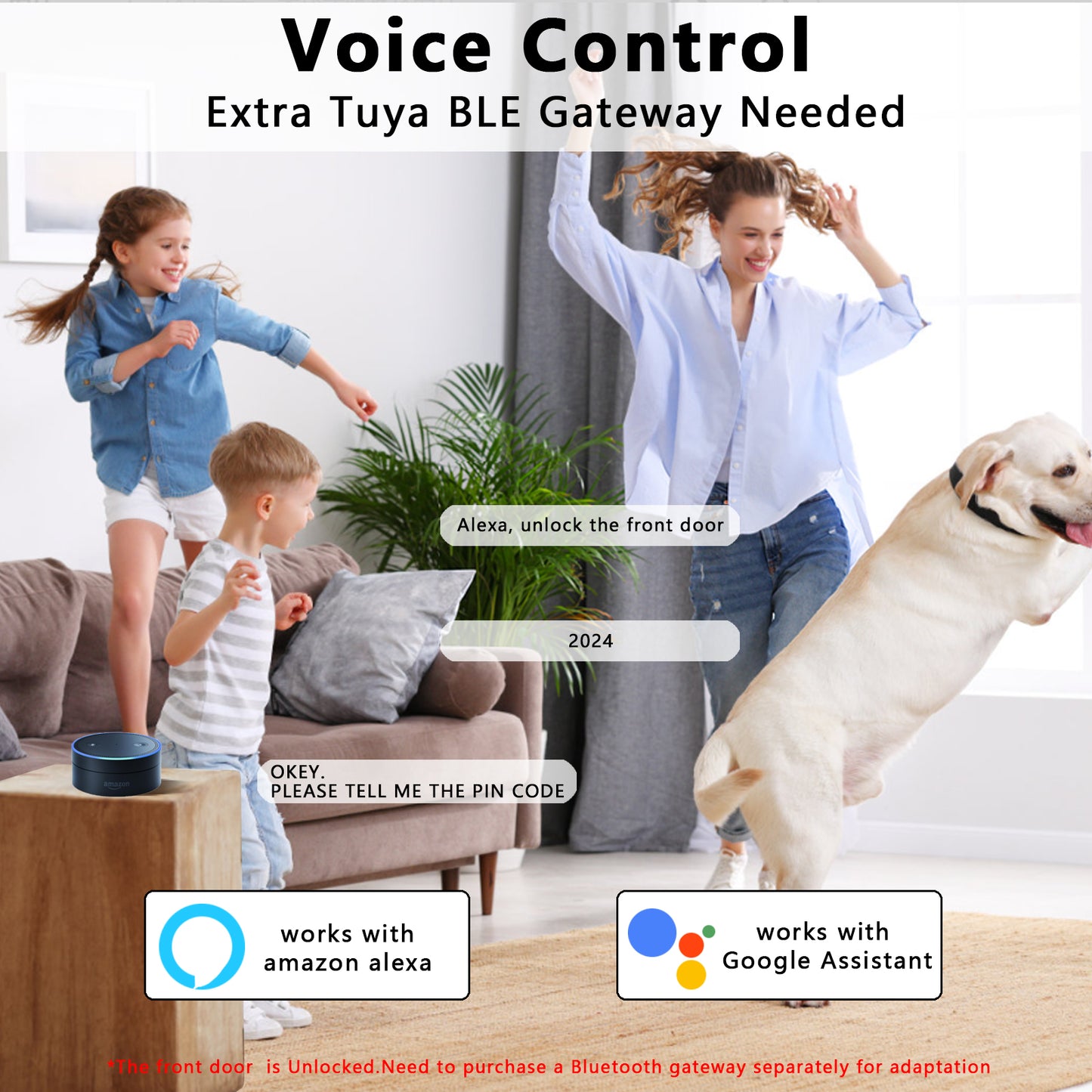 Smart Lock H302